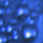 Twitter Weekly Updates for 2010-01-03