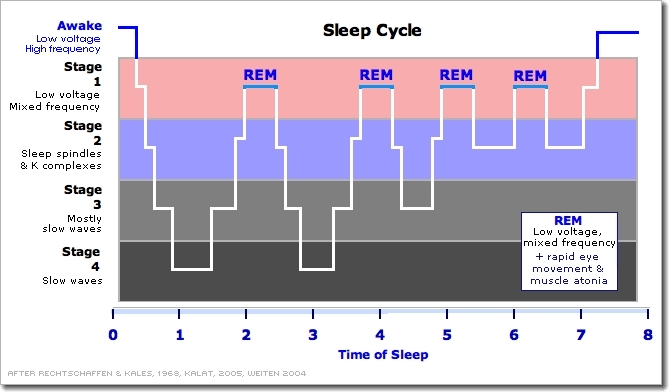 sleep_cycle.jpg