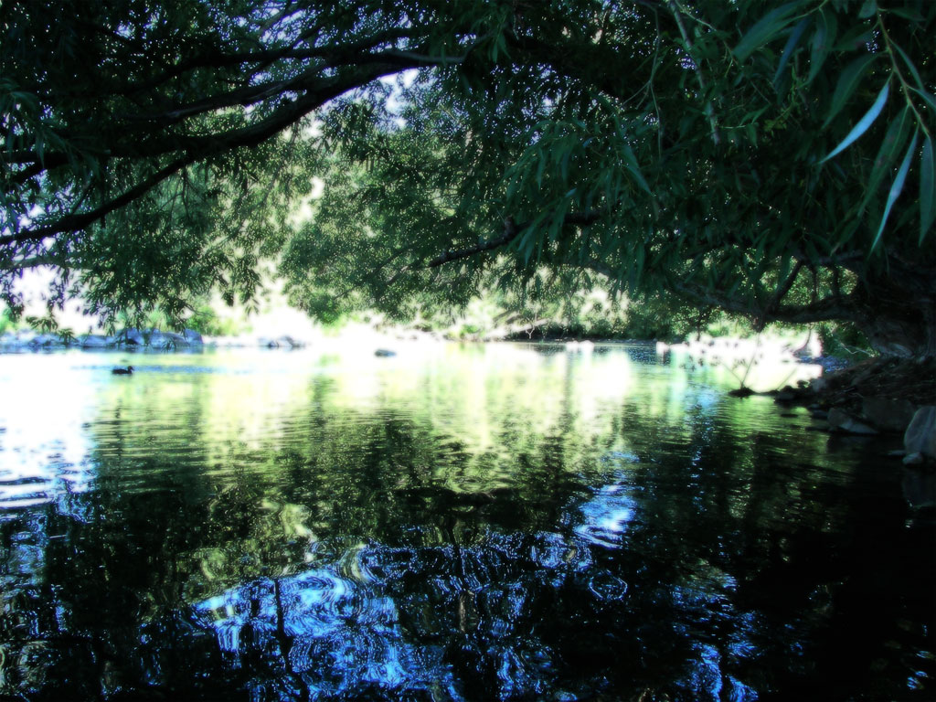 From the bank of the river. This is a heaven for duck and fishes. Did I just spotted a future fishing/camping ground? Definitely coming back.